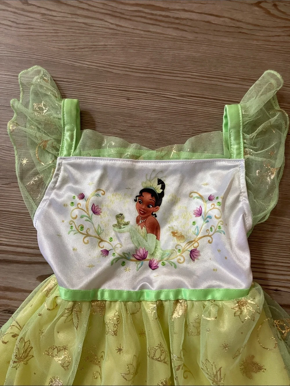 DISNEY Princess & the Frog TIANA fantasy nightgown. Sz 4T